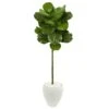 5’ Fiddle Leaf Artificial Tree In White Planter -Artificial Flowers Sale artificial 5 fiddle leaf artificial tree in white planter nearly natural 353753