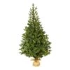 5’ Fraser Fir “Natural Look” Artificial Christmas Tree With 190 Clear LED Lights, A Burlap Base And 1217 Bendable Branches 1 5’ Fraser Fir “Natural Look” Artificial Christmas Tree With 190 Clear LED Lights, A Burlap Base And 1217 Bendable Branches -Artificial Flowers Sale artificial 5 fraser fir natural look artificial christmas tree with 190 clear led lights a burlap base and nearly natural 256160