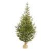 5’ Fraser Fir “Natural Look” Artificial Christmas Tree With 200 Clear LED Lights, A Burlap Base And 853 Bendable Branches -Artificial Flowers Sale artificial 5 fraser fir natural look artificial christmas tree with 200 clear led lights a burlap base and nearly natural 316155