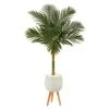 5’ Golden Cane Artificial Palm Tree In White Planter With Stand 1 5’ Golden Cane Artificial Palm Tree In White Planter With Stand -Artificial Flowers Sale artificial 5 golden cane artificial palm tree in white planter with stand nearly natural 799557