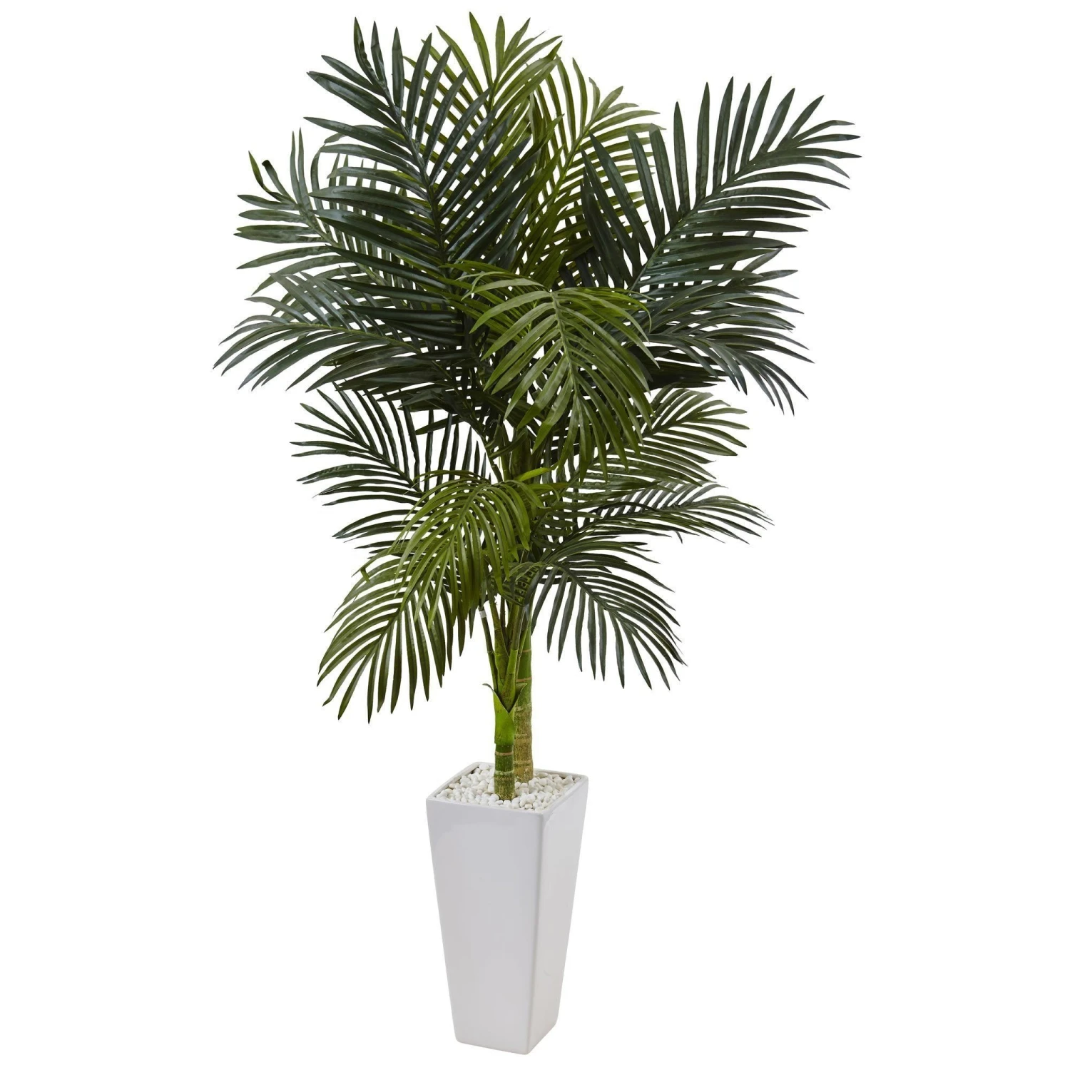5’ Golden Cane Palm Tree In White Tower Planter 3 5’ Golden Cane Palm Tree In White Tower Planter