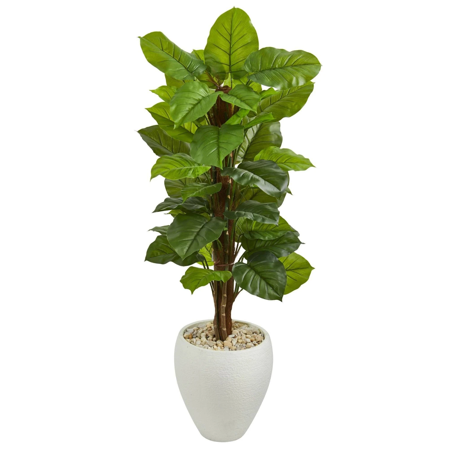 5’ Large Leaf Philodendron Artificial Plant In White Oval Planter (Real Touch) 3 5’ Large Leaf Philodendron Artificial Plant In White Oval Planter (Real Touch)