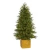 5' Manchester Fir Artificial Christmas Tree In Decorative Planter With 250 Clear Warm (Multifunction) LED Lights And 366 Bendable Branches 2 5' Manchester Fir Artificial Christmas Tree In Decorative Planter With 250 Clear Warm (Multifunction) LED Lights And 366 Bendable Branches -Artificial Flowers Sale artificial 5 manchester fir artificial christmas tree in decorative planter with 250 clear warm multifunction nearly natural 934928