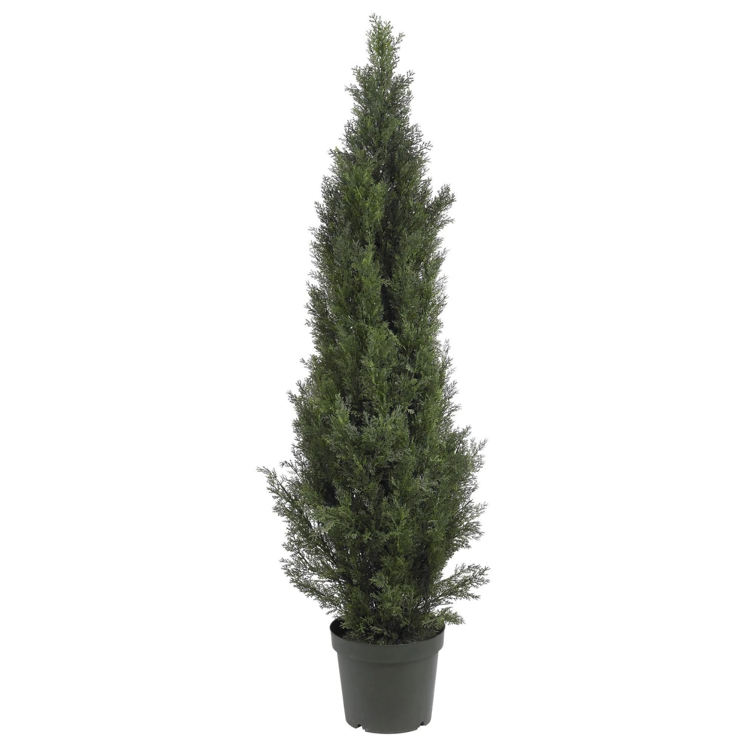 5' Mini Cedar Pine Tree (Indoor/Outdoor) 3 5' Mini Cedar Pine Tree (Indoor/Outdoor)
