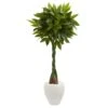 4.5’ Money Artificial Tree In White Oval Planter (Real Touch 1 4.5’ Money Artificial Tree In White Oval Planter (Real Touch -Artificial Flowers Sale artificial 5 money artificial tree in white oval planter real touch nearly natural 230572