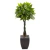 5’ Money Tree In Black Square Planter -Artificial Flowers Sale artificial 5 money tree in black square planter nearly natural 434667
