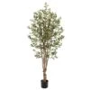 6’ Olive Artificial Tree With 1656 Leaves 1 6’ Olive Artificial Tree With 1656 Leaves -Artificial Flowers Sale artificial 5 olive artificial tree with 1656 leaves nearly natural 230679