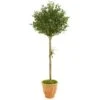 5’ Olive Topiary Artificial Tree In Terra Cotta Planter -Artificial Flowers Sale artificial 5 olive topiary artificial tree in terra cotta planter nearly natural 766408