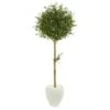 5’ Olive Topiary Artificial Tree In White Planter 1 5’ Olive Topiary Artificial Tree In White Planter -Artificial Flowers Sale artificial 5 olive topiary artificial tree in white planter nearly natural 855035