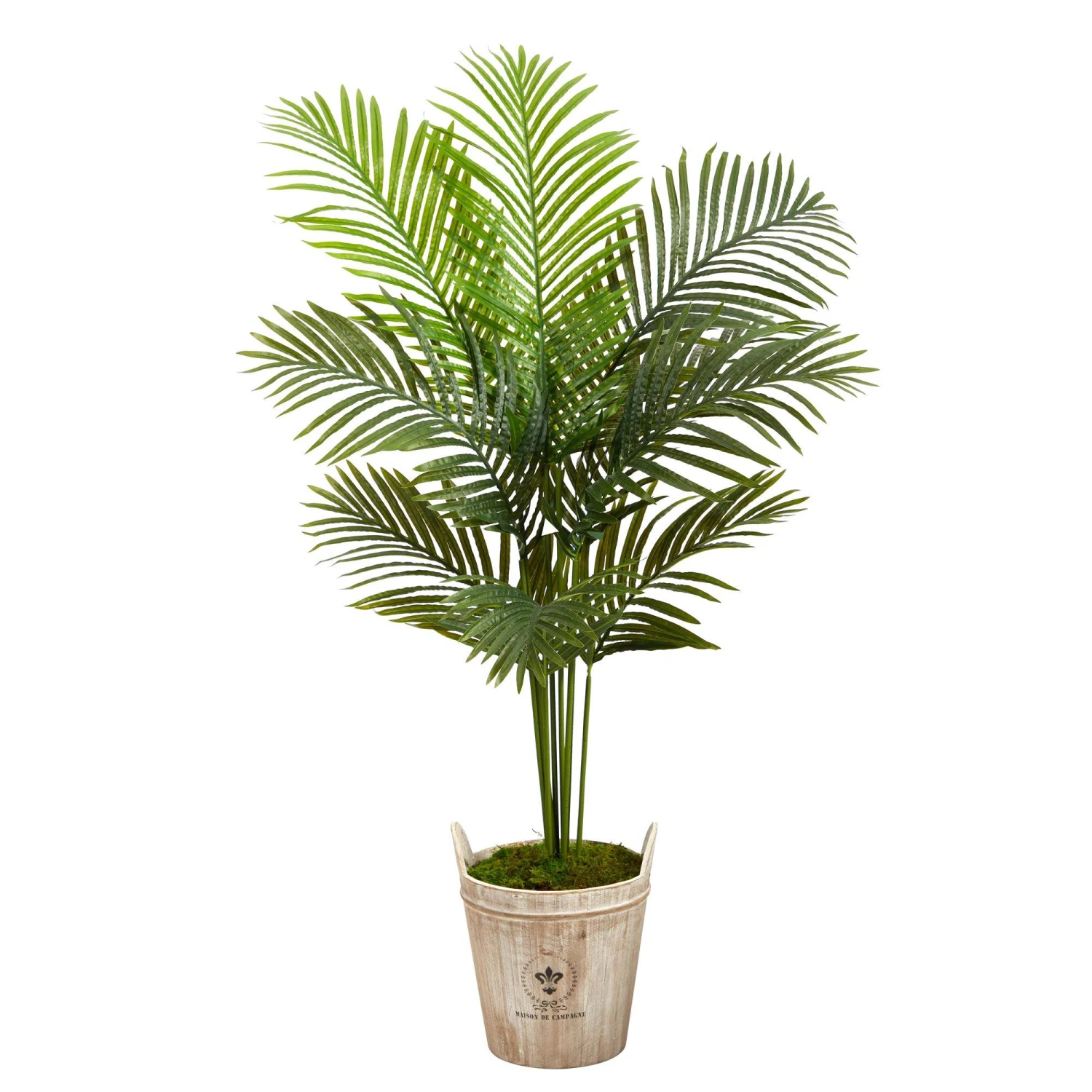 5’ Paradise Palm Artificial Tree In Farmhouse Planter 3 5’ Paradise Palm Artificial Tree In Farmhouse Planter