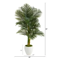 5’ Paradise Palm Artificial Tree In White Planter With Faux Moss -Artificial Flowers Sale artificial 5 paradise palm artificial tree in white planter nearly natural 995281