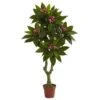 5' Plumeria Tree UV Resistant (Indoor/Outdoor) -Artificial Flowers Sale artificial 5 plumeria tree uv resistant indooroutdoor nearly natural 599376
