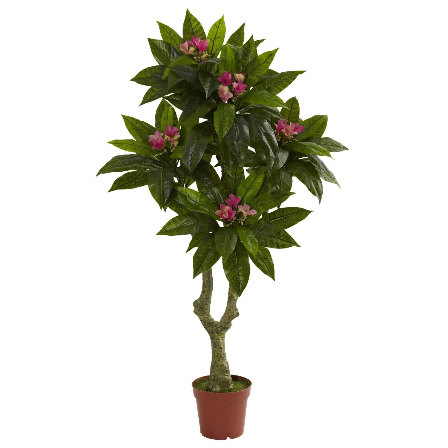 5' Plumeria Tree UV Resistant (Indoor/Outdoor) 3 5' Plumeria Tree UV Resistant (Indoor/Outdoor)