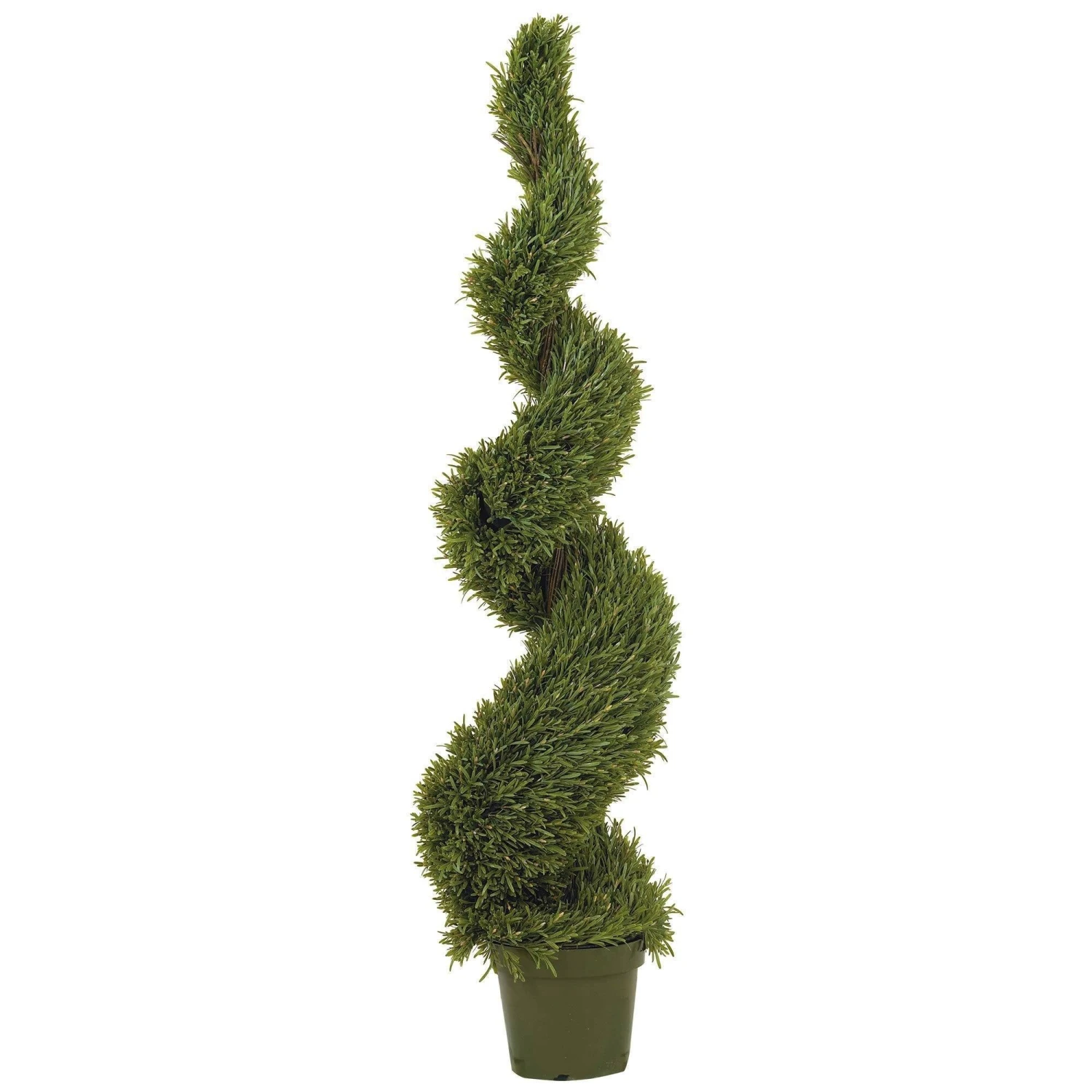 5' Rosemary Spiral Silk Tree (In-door/Out-door) 3 5' Rosemary Spiral Silk Tree (In-door/Out-door)