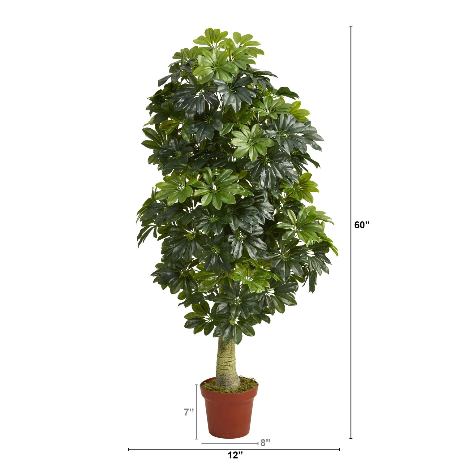 5' Schefflera Artificial Tree (Real Touch) 5 5' Schefflera Artificial Tree (Real Touch) - Image 3