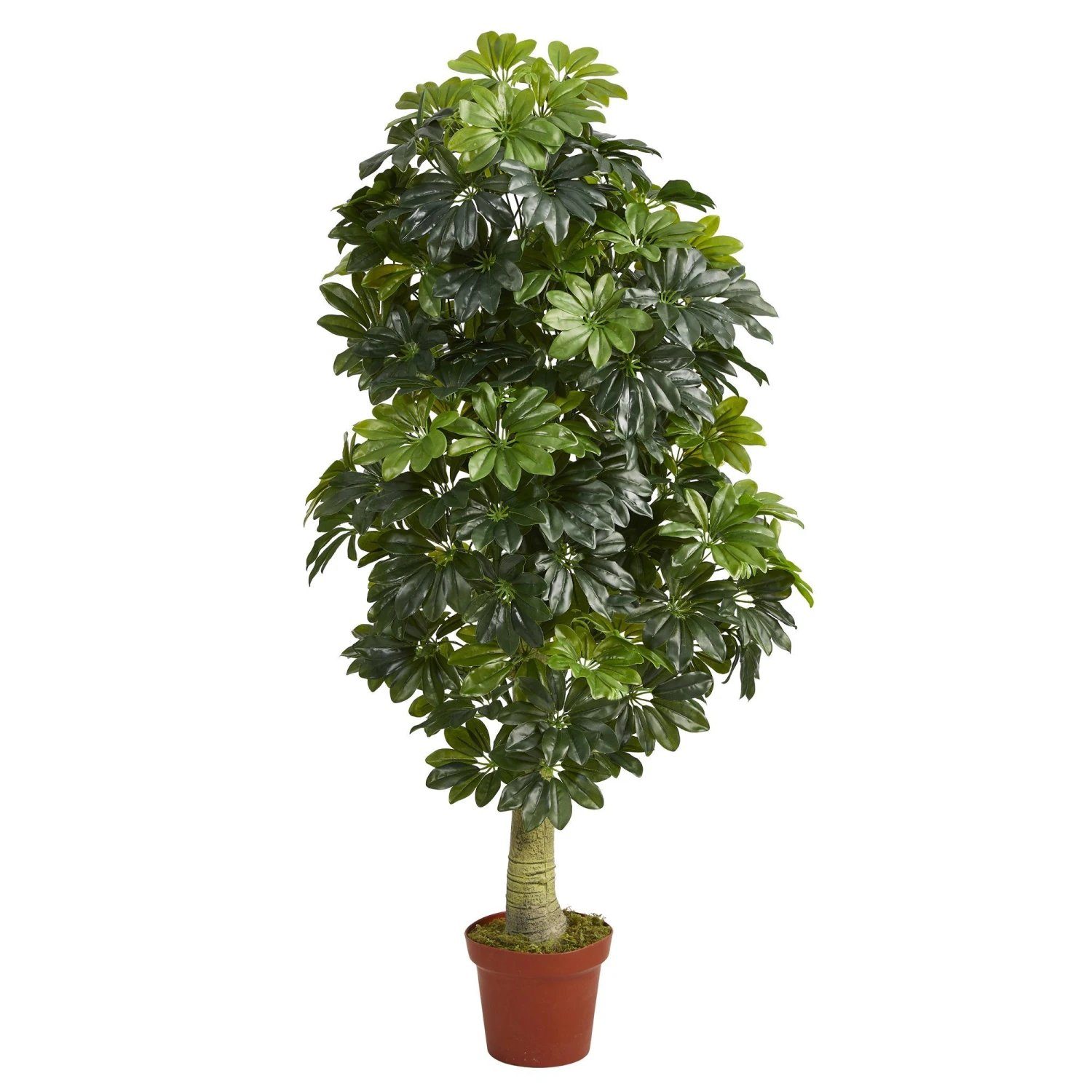 5' Schefflera Artificial Tree (Real Touch) 3 5' Schefflera Artificial Tree (Real Touch)