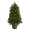 5' Sierra Fir Artificial Christmas Tree With 200 Multicolored Lights And 428 Bendable Branches In Decorative Container -Artificial Flowers Sale artificial 5 sierra fir artificial christmas tree with 200 multicolored lights and 428 bendable branches in de nearly natural 715855