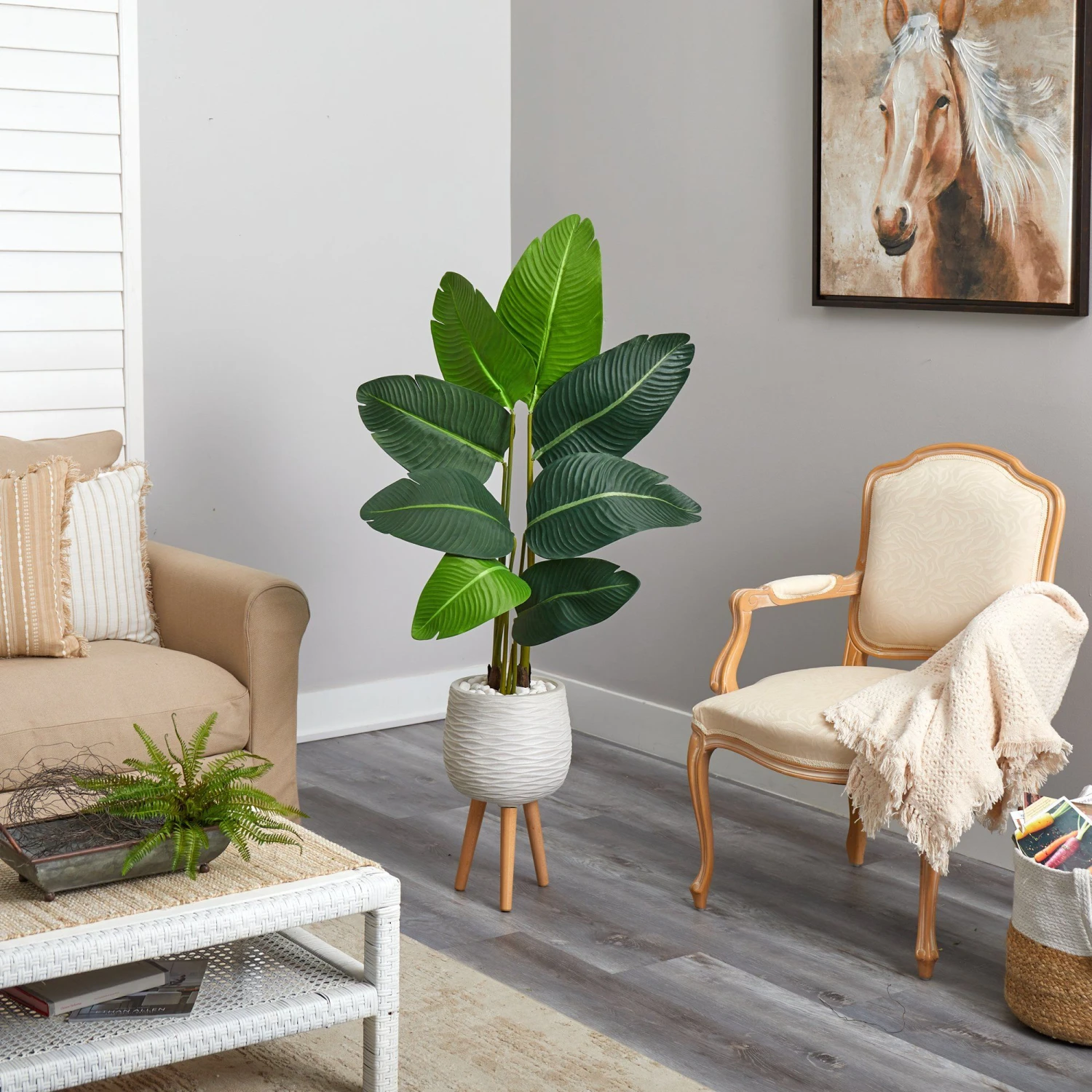 5’ Travelers Palm Artificial Tree In White Planter With Stand 6 5’ Travelers Palm Artificial Tree In White Planter With Stand - Image 4