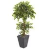 5’ Variegated Ficus Artificial Tree In Slate Planter 1 5’ Variegated Ficus Artificial Tree In Slate Planter -Artificial Flowers Sale artificial 5 variegated ficus artificial tree in slate planter nearly natural 637846
