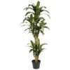 5' Yucca Silk Plant -Artificial Flowers Sale artificial 5 yucca silk plant nearly natural 498181