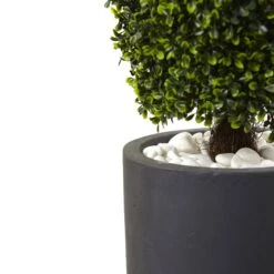 50” Boxwood Topiary With Gray Cylindrical Planter UV Resistant (Indoor/Outdoor) 5 50” Boxwood Topiary With Gray Cylindrical Planter UV Resistant (Indoor/Outdoor) -Artificial Flowers Sale artificial 50 boxwood topiary with gray cylindrical planter uv resistant indooroutdoor nearly natural 586962