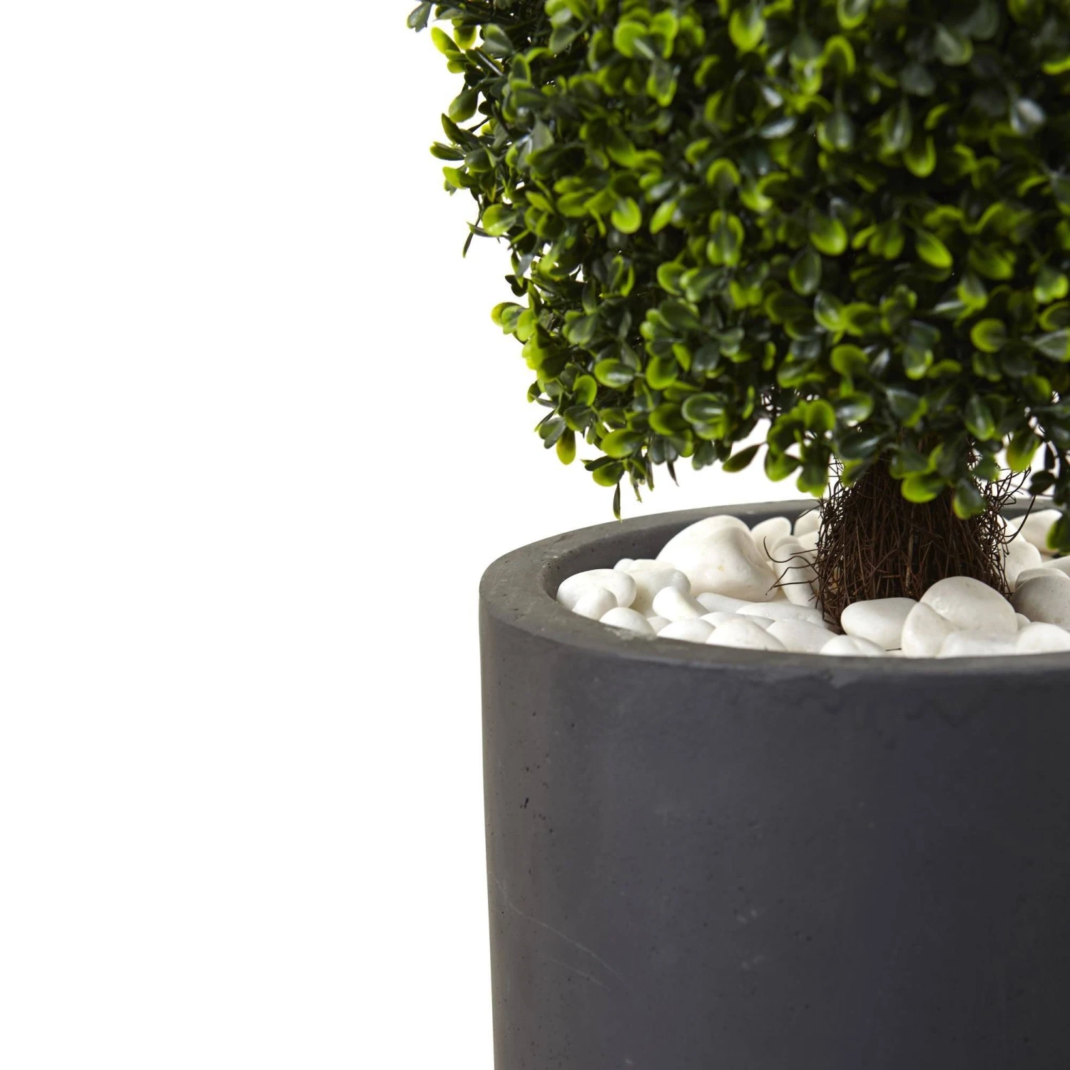 50” Boxwood Topiary With Gray Cylindrical Planter UV Resistant (Indoor/Outdoor) 4 50” Boxwood Topiary With Gray Cylindrical Planter UV Resistant (Indoor/Outdoor) - Image 2