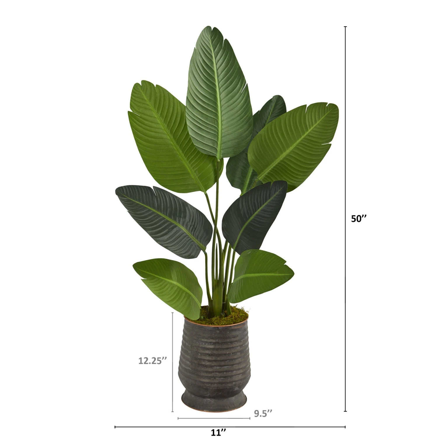 50” Travelers Palm Artificial Tree In Ribbed Metal Planter 4 50” Travelers Palm Artificial Tree In Ribbed Metal Planter - Image 2