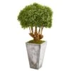 51” Boxwood Artificial Topiary Tree In Cement Planter (Indoor/Outdoor) -Artificial Flowers Sale artificial 51 boxwood artificial topiary tree in cement planter indooroutdoor nearly natural 536971
