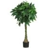 51" MoneySilk Tree" 2 51" MoneySilk Tree" -Artificial Flowers Sale artificial 51 money silk tree nearly natural 921081