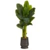 51” Triple Stalk Artificial Banana Tree In Ribbed Metal Planter (Real Touch) 1 51” Triple Stalk Artificial Banana Tree In Ribbed Metal Planter (Real Touch) -Artificial Flowers Sale artificial 51 triple stalk artificial banana tree in ribbed metal planter real touch nearly natural 717620