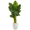 52” Triple Stalk Artificial Banana Tree In White Planter (Real Touch) 1 52” Triple Stalk Artificial Banana Tree In White Planter (Real Touch) -Artificial Flowers Sale artificial 52 triple stalk artificial banana tree in white planter real touch nearly natural 335778