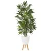 53” Bamboo Palm Artificial Tree In White Planter With Stand -Artificial Flowers Sale artificial 53 bamboo palm artificial tree in white planter with stand nearly natural 535991