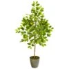 54” Lemon Artificial Tree In Olive Green Planter -Artificial Flowers Sale artificial 54 lemon artificial tree in olive green planter nearly natural 919596