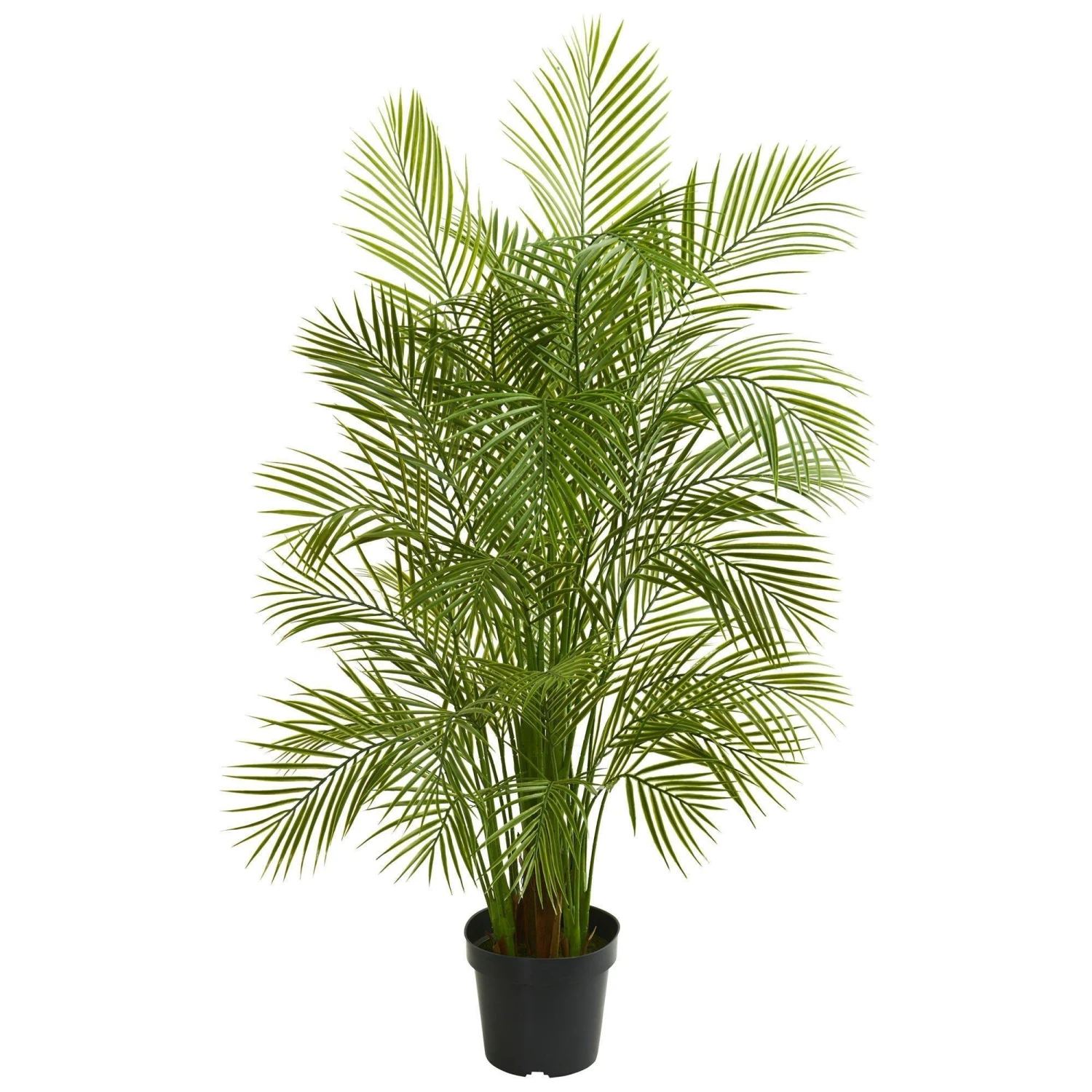 5.5’ Areca Palm Artificial Tree Lush Green 3 5.5’ Areca Palm Artificial Tree Lush Green