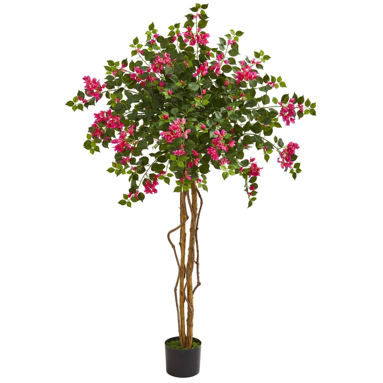 5.5’ Bougainvillea Artificial Tree 3 5.5’ Bougainvillea Artificial Tree