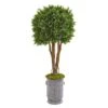 55” Boxwood Artificial Topiary Tree In Planter (Indoor/Outdoor) -Artificial Flowers Sale artificial 55 boxwood artificial topiary tree in planter uv resistant indooroutdoor nearly natural 603041
