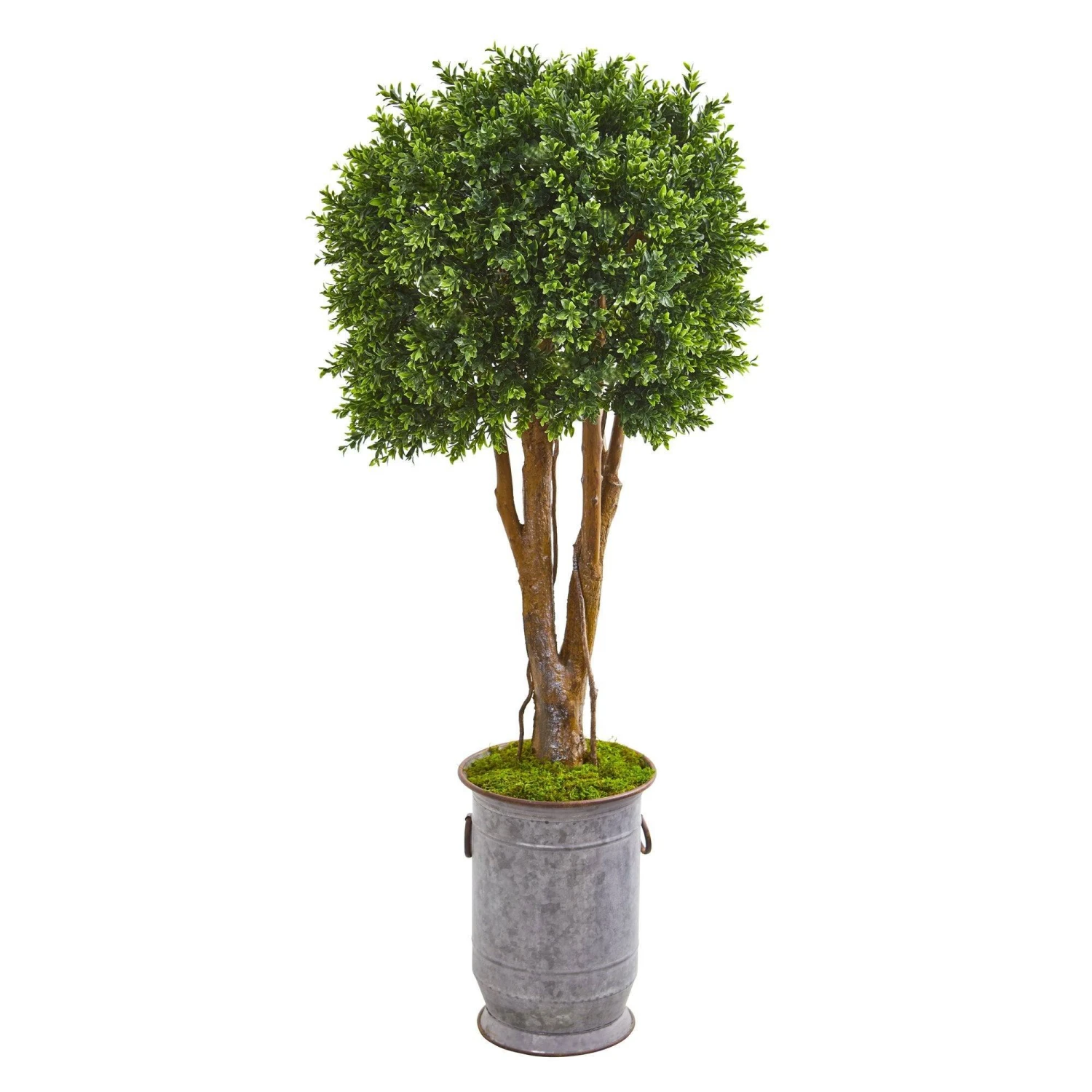 55” Boxwood Artificial Topiary Tree In Planter (Indoor/Outdoor) 3 55” Boxwood Artificial Topiary Tree In Planter (Indoor/Outdoor)