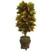 5.5’ Croton Artificial Plant In Decorative Planter (Real Touch) -Artificial Flowers Sale artificial 55 croton artificial plant in decorative planter real touch nearly natural 739949