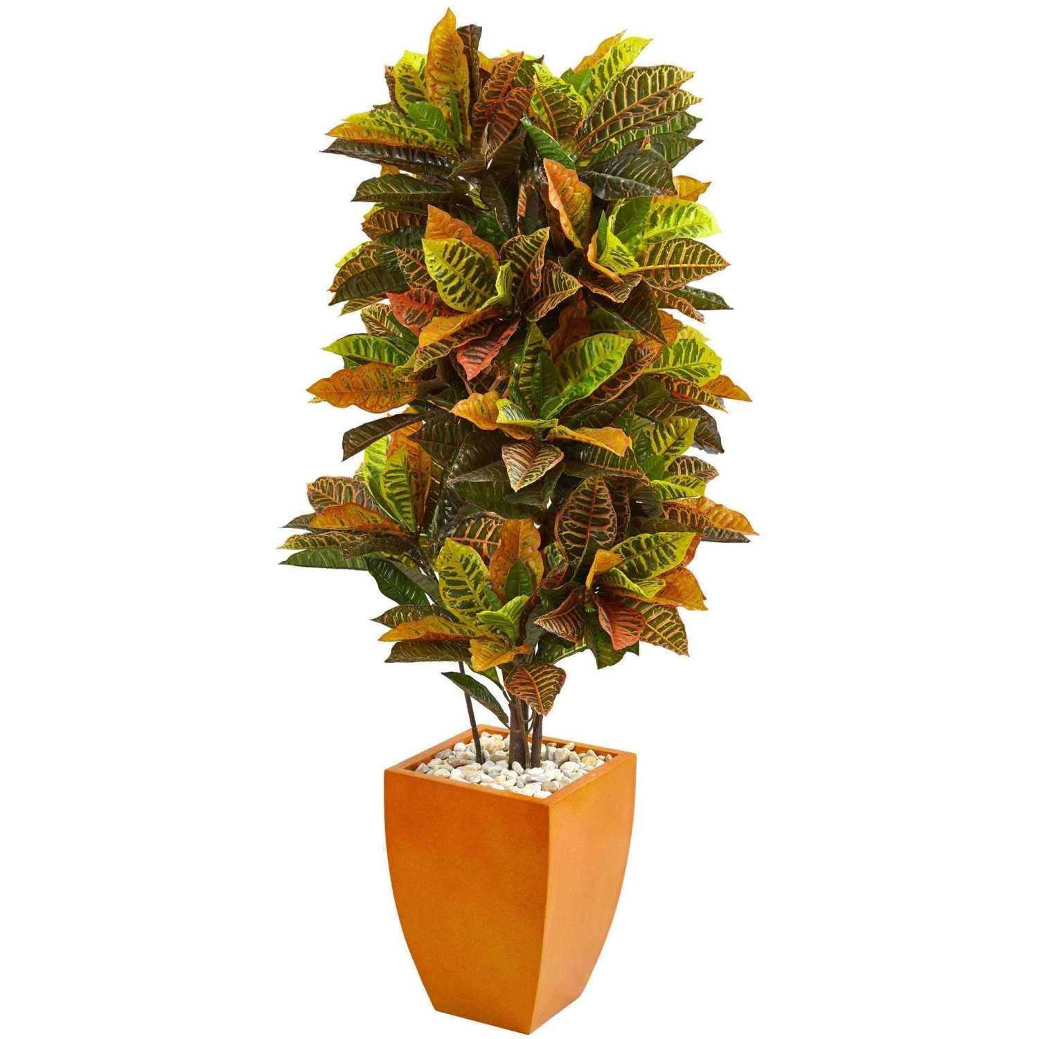 5.5’ Croton Artificial Plant In Orange Planter (Real Touch) 3 5.5’ Croton Artificial Plant In Orange Planter (Real Touch)
