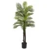 5.5’ Double Robellini Palm Tree UV Resistant (Indoor/Outdoor) 1 5.5’ Double Robellini Palm Tree UV Resistant (Indoor/Outdoor) -Artificial Flowers Sale artificial 55 double robellini palm tree uv resistant indooroutdoor nearly natural 729240