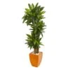 5.5’ Dracaena Plant In Orange Square Planter (Real Touch) -Artificial Flowers Sale artificial 55 dracaena plant in orange square planter real touch nearly natural 705565