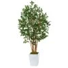 5.5' Ficus Bushy Artificial Tree In White Metal Planter 2 5.5' Ficus Bushy Artificial Tree In White Metal Planter -Artificial Flowers Sale artificial 55 ficus bushy artificial tree in white metal planter nearly natural 779062