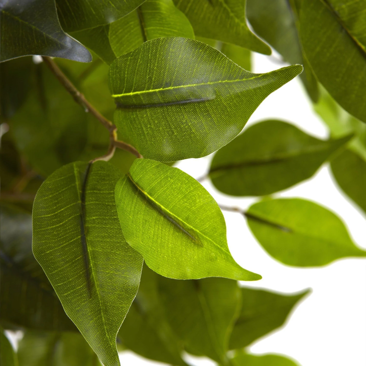 5.5' Ficus Tree UV Resistant (Indoor/Outdoor) 4 5.5' Ficus Tree UV Resistant (Indoor/Outdoor) - Image 2