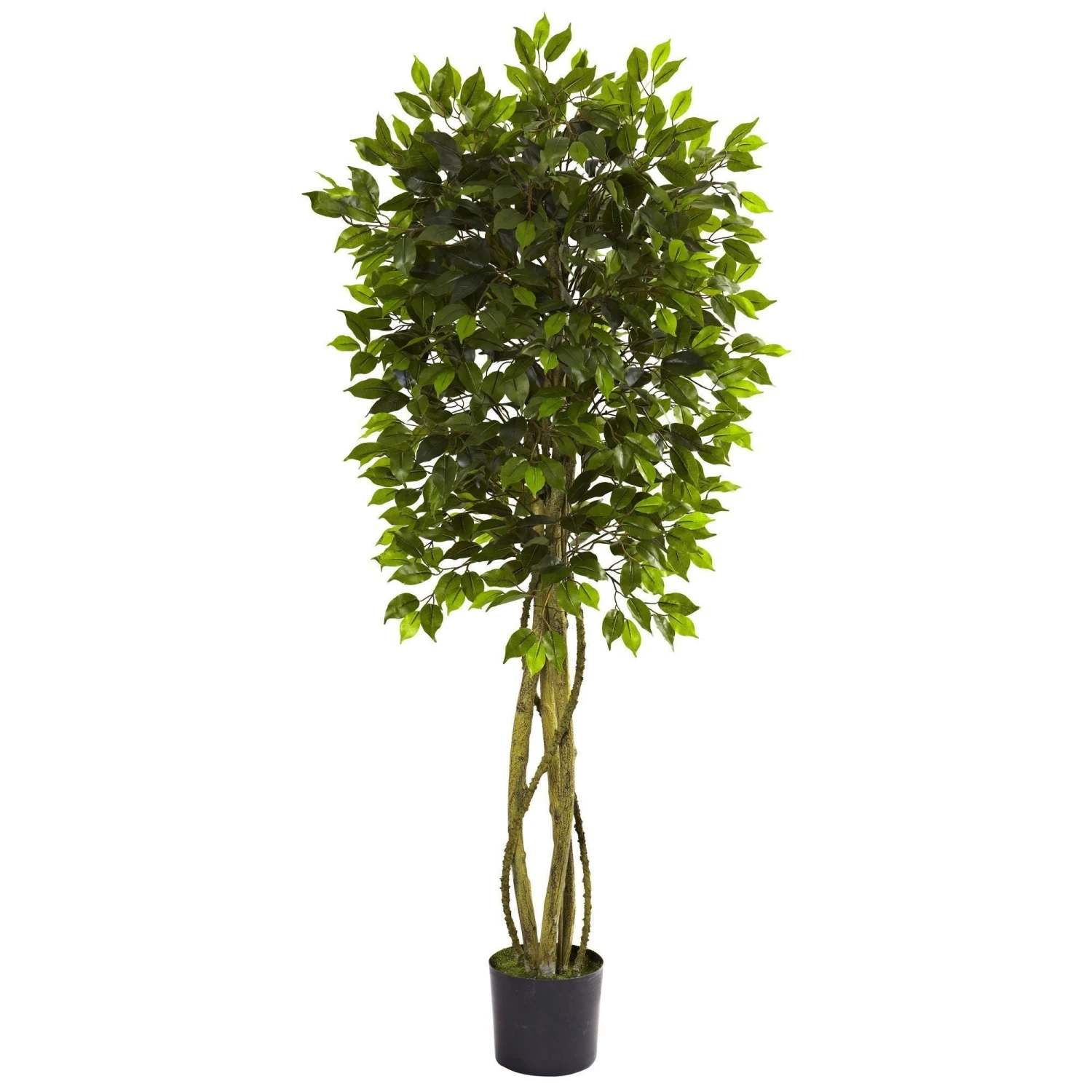 5.5' Ficus Tree UV Resistant (Indoor/Outdoor) 3 5.5' Ficus Tree UV Resistant (Indoor/Outdoor)