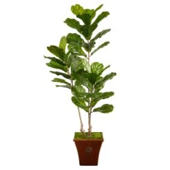 5.5’ Fiddle Leaf Artificial Tree In Brown Planter (Indoor/Outdoor)