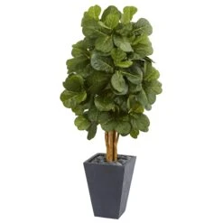 5.5’ Fiddle Leaf Artificial Tree In Slate Planter