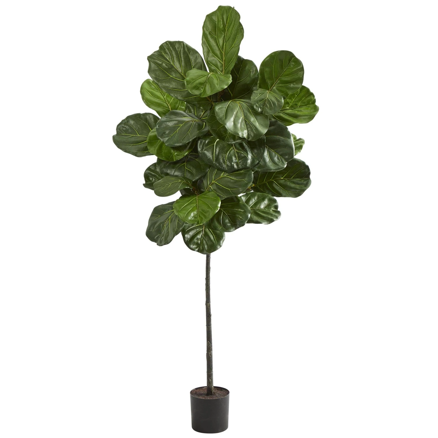 5.5’ Fiddle Leaf Artificial Tree 3 5.5’ Fiddle Leaf Artificial Tree