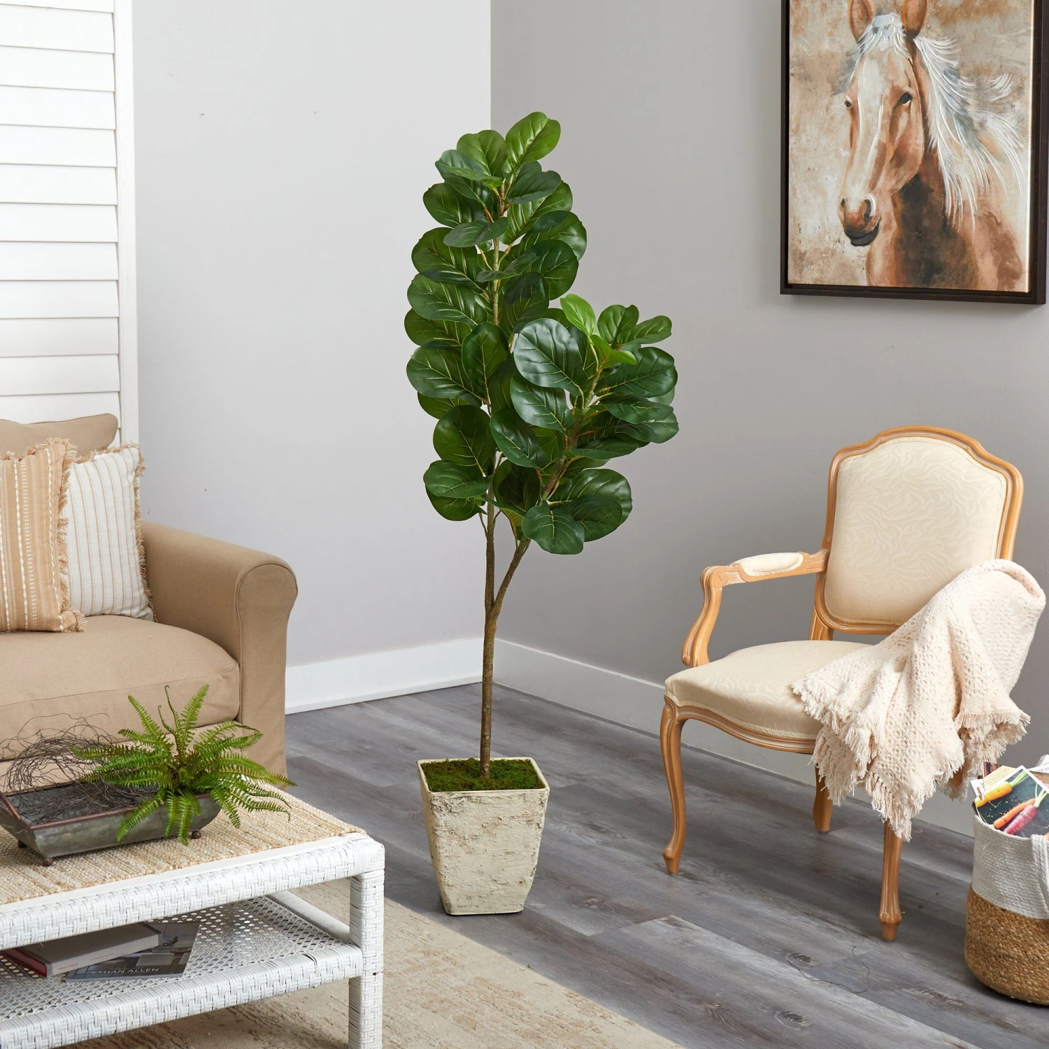 5.5’ Fiddle Leaf Fig Artificial Tree In Country White Planter 6 5.5’ Fiddle Leaf Fig Artificial Tree In Country White Planter - Image 4