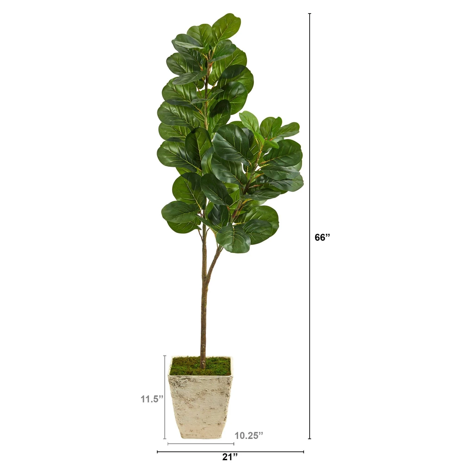 5.5’ Fiddle Leaf Fig Artificial Tree In Country White Planter 4 5.5’ Fiddle Leaf Fig Artificial Tree In Country White Planter - Image 2