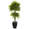 5.5’ Mango Artificial Tree In Black Wash Planter (Indoor/Outdoor) -Artificial Flowers Sale artificial 55 mango artificial tree in black wash planter uv resistant indooroutdoor nearly natural 440286